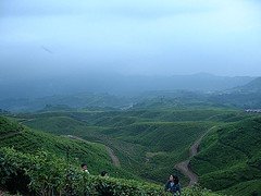 View of Mount Halimun